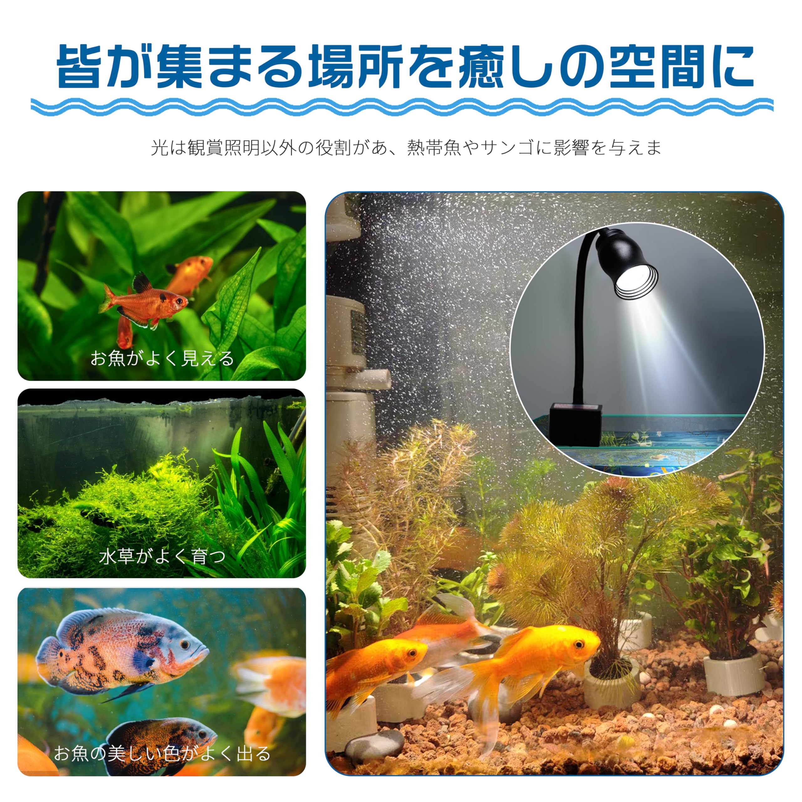 Amazon.co.jp: 水槽照明 アクアリウムライト 3つの照明モード 50CM以内